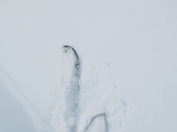 IMG_9161