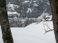 IMG_9176