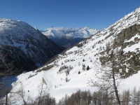 IMG_8240