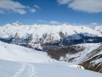 IMG_8530