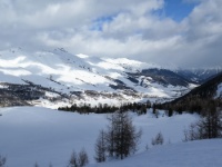 IMG_7779 Müsella