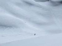 IMG_8265