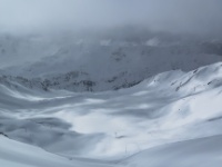 IMG_8393