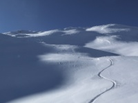 IMG_8366