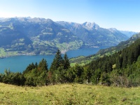 IMG_3419 Panorama