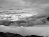 IMG_2833