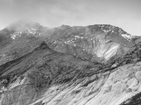IMG_2834