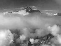 IMG_2850
