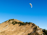 IMG_9110