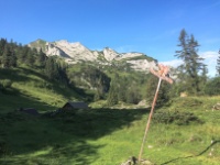 Photo 22.07.17, 09 09 57