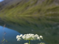 IMG_5771