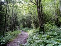 IMG_3321