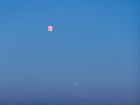 IMG_8295