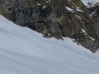 IMG_7156
