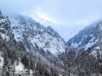 IMG_0865web