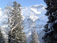 IMG_0889web