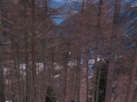IMG_1630web