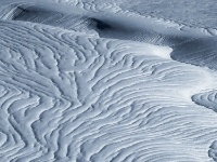 IMG_3027