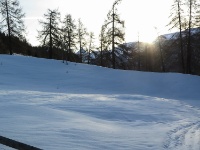IMG_6003
