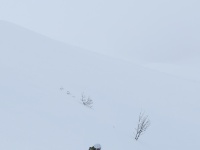 IMG_5594