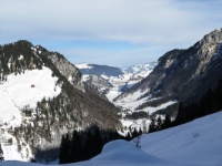 IMG_0953web