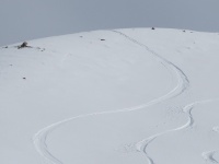 IMG_1045web