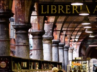 IMG_7687 Bologna