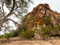 IMG_6649 Jessie Gap - East MacDonnell Ranges