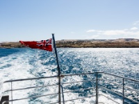 IMG_7568 On the ferry to Kangaroo Island