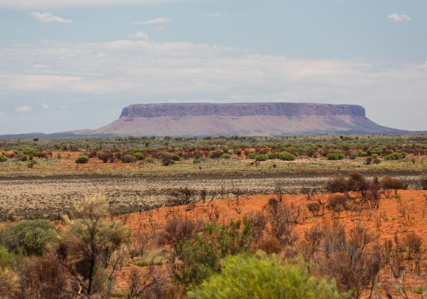Red Center
