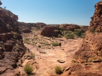 IMG_6875 Watarrka National Park (King's Canyon)