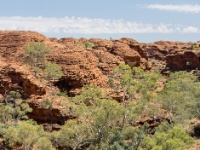 IMG_6900 Watarrka National Park (King's Canyon)