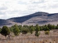 IMG_7316 Flinders Ranges National Park