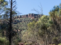 IMG_7346 Flinders Ranges National Park