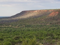IMG_5841 Waterberg Plateau
