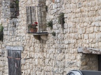 _MG_0021-1