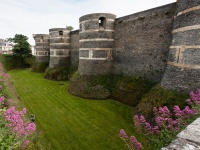 _MG_3176 Angers